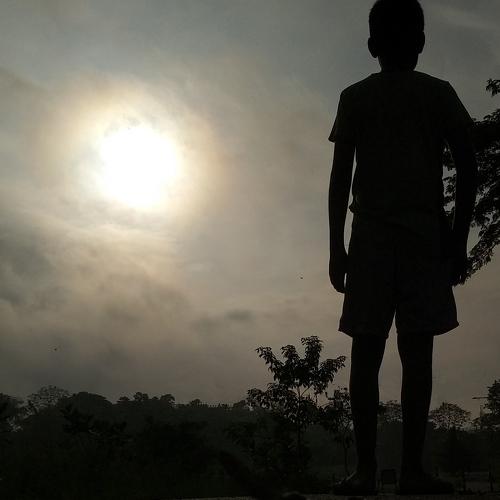 Photo #4756613