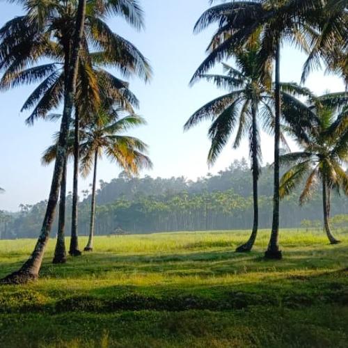 Photo #4756686