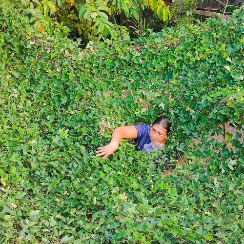 Photo #4756698