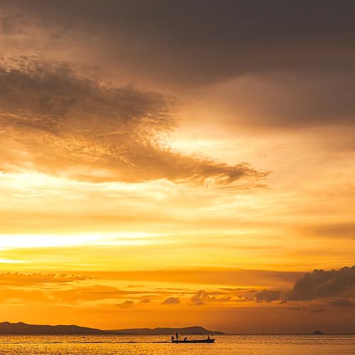 Photo #4756980