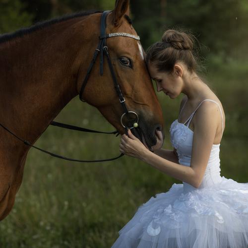 Photo #4757369