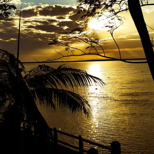 Photo #4757561