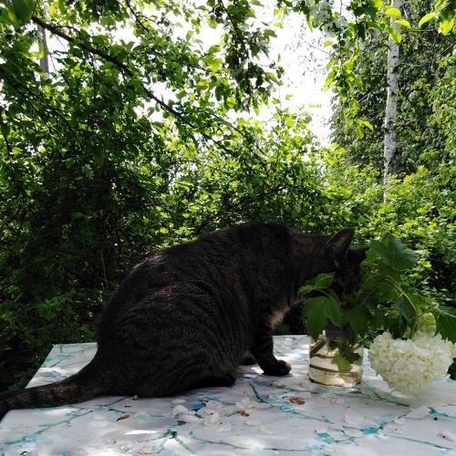 Photo #4757600