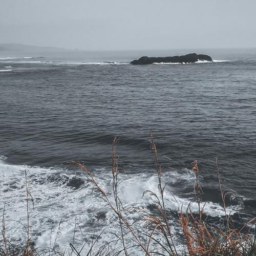 Photo #4757666