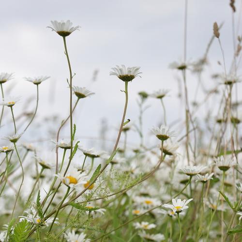 Photo #4757745