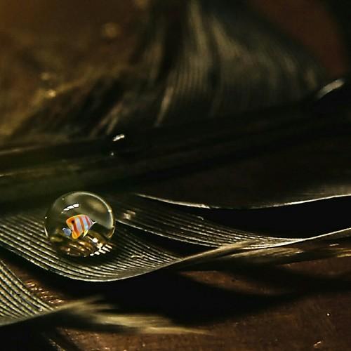 Photo #4758098