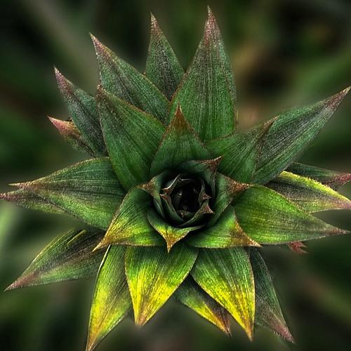 Photo #4758124