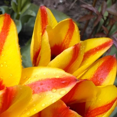 Photo #4758250