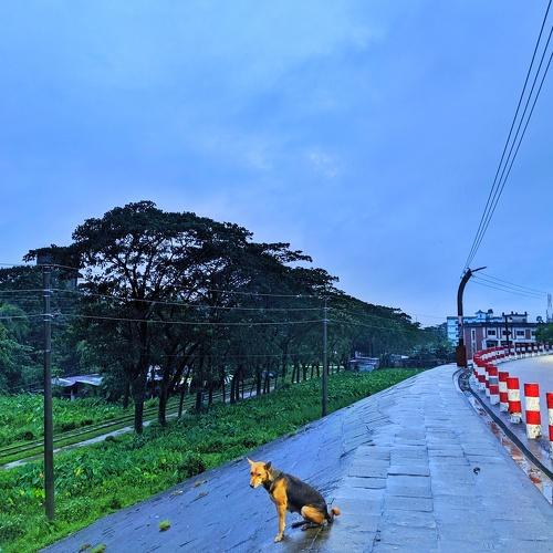 Photo #4758369