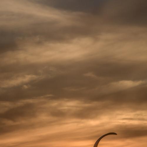 Photo #4758917