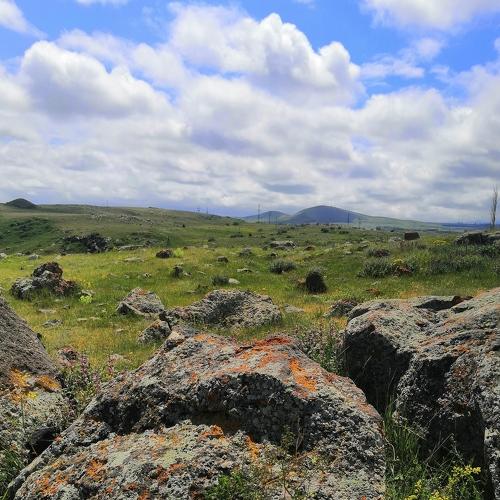 Photo #4759129