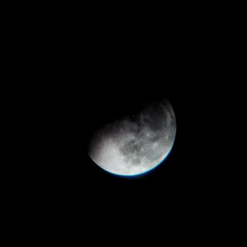 Photo #4759130