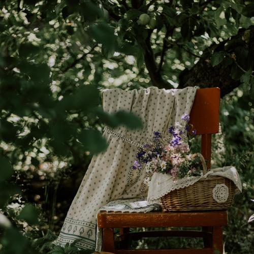 Photo #4759234