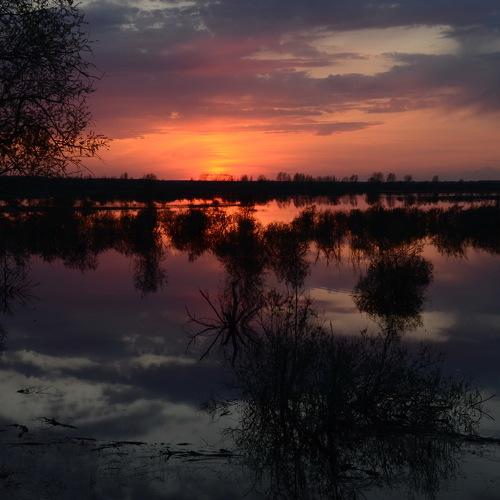 Разлив на Аремзянке