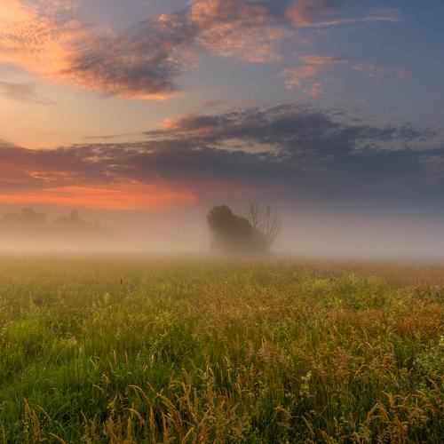 Happiness is fleeting. It envelops us like fog and escapes like fog