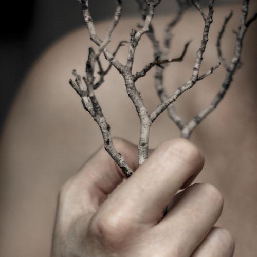 Photo #4759768