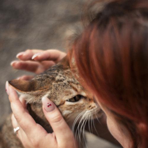 Photo #4759793