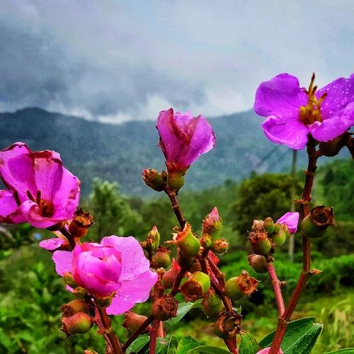 Photo #4759873