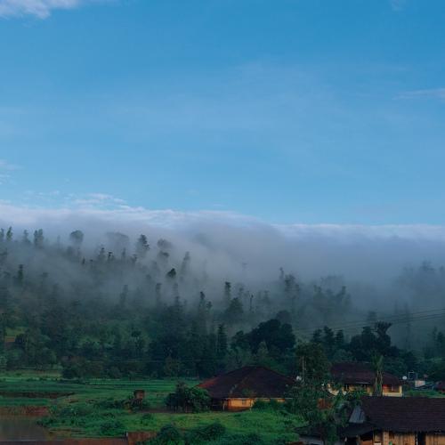 Photo #4760187
