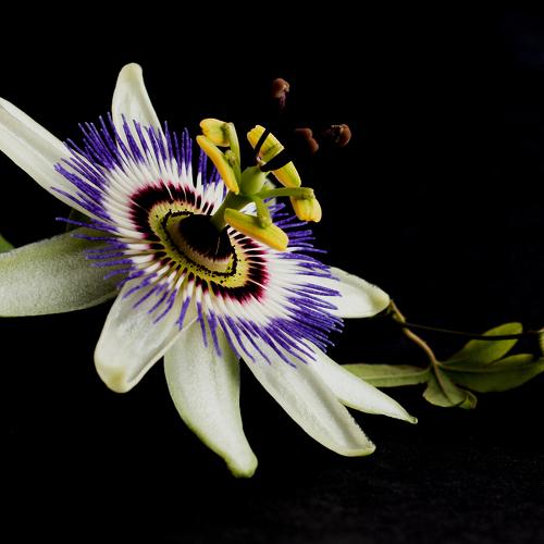 Фотография #4760674