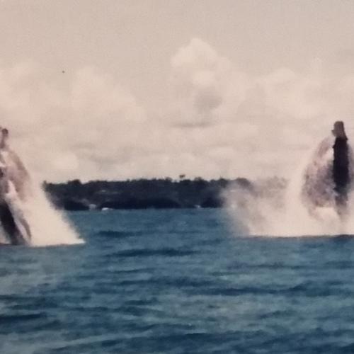 Photo #4760742