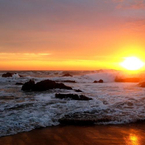 Photo #4761186