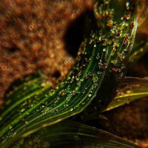 Photo #4761466