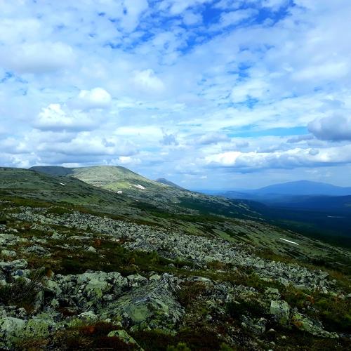 Photo #4761636