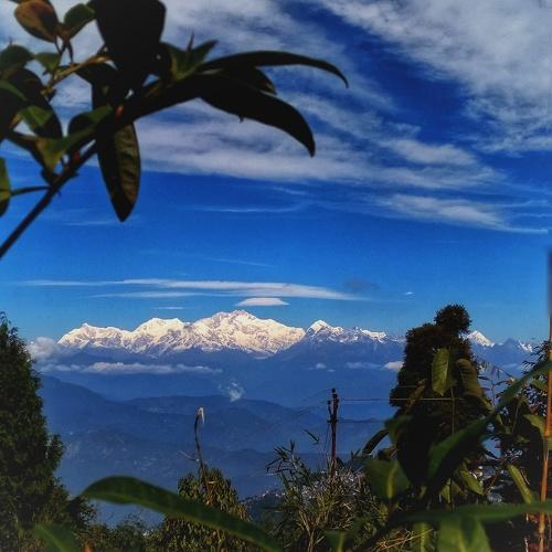 Photo #4761682