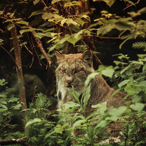 Photo #4761745
