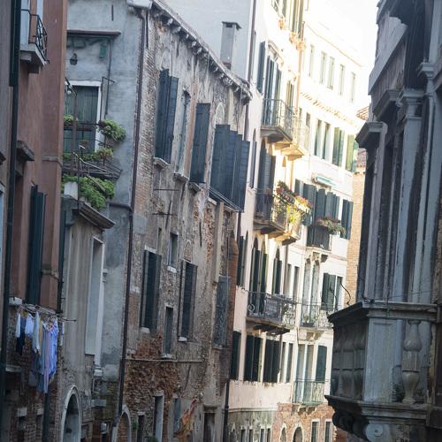 Photo #4761926