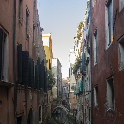 Photo #4761951