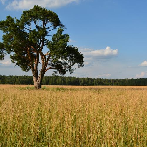 Photo #4762360