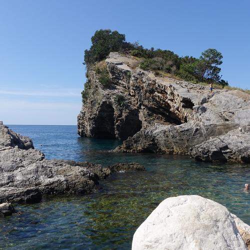 Photo #4762534