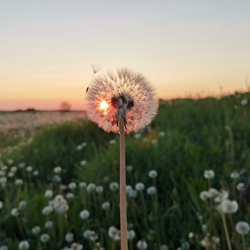 Photo #4763433