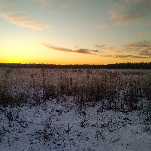 Photo #4763614