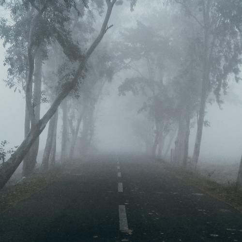 Photo #4763684