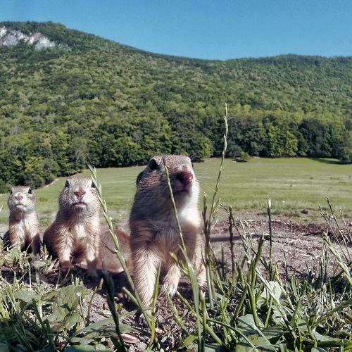 Photo #4763694