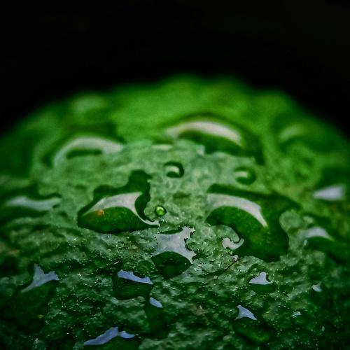 Greens