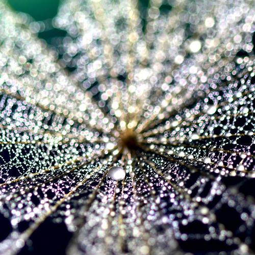 Photo #4764039