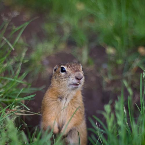 Photo #4764065