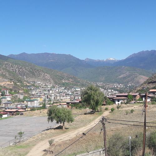 Photo #4764325