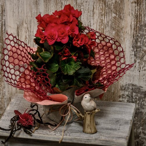 Photo #4764684