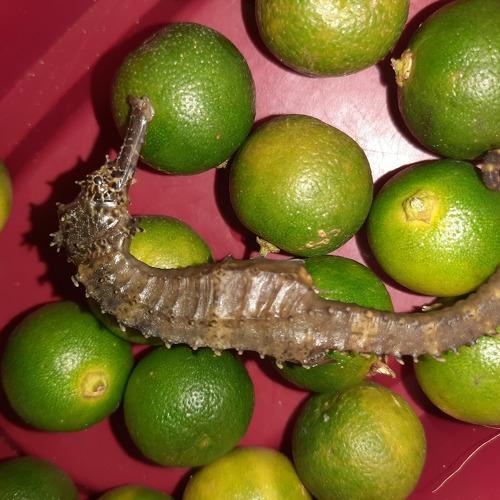 Photo #4764859