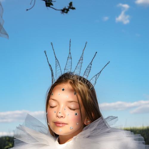 Photo #4765098