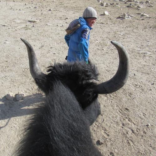 Photo #4765476