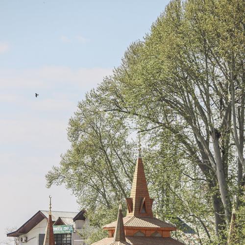 Photo #4765503