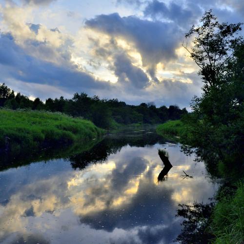 Photo #4765731