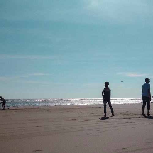 Photo #4766314