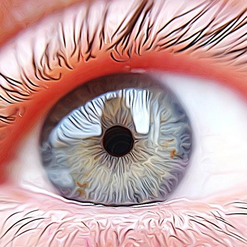 Photo #4766400